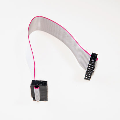 A 16-pin to 16-pin ribbon cable with IDC connectors for connecting Eurorack modules to a power bus board.